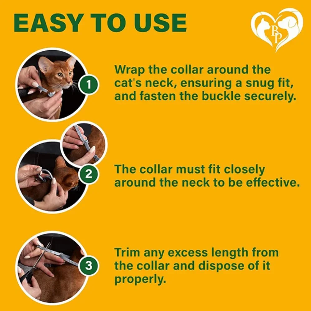 New Natural Flea and Tick Collar for Cats with 6 Month Protection